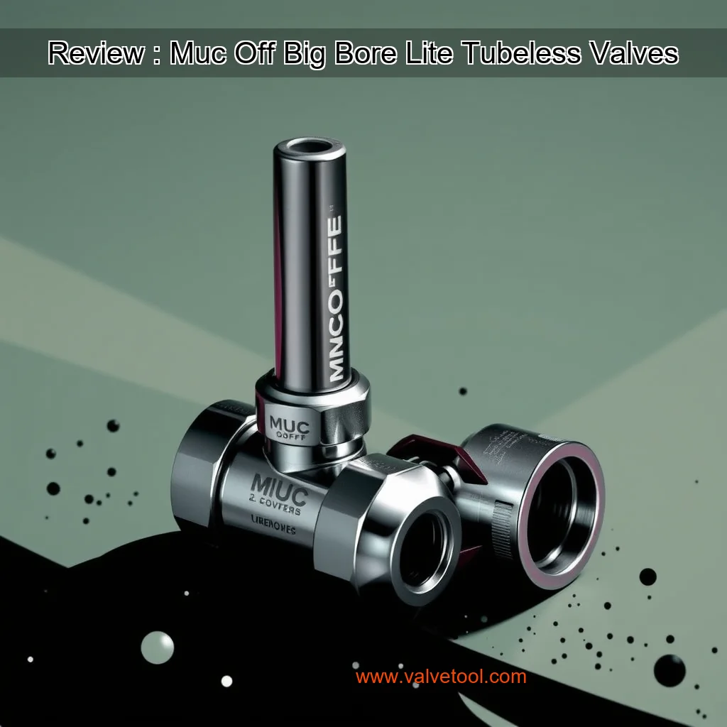 You are currently viewing Review : Muc  Off Big Bore Lite Tubeless Valves