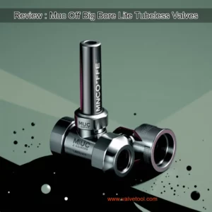 Read more about the article Review : Muc  Off Big Bore Lite Tubeless Valves